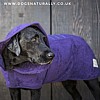 Purple Drying Coat - Labrador